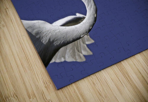 Egret Profile Daniel Wright puzzle