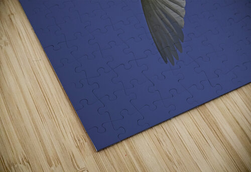Egret Flight Daniel Wright puzzle