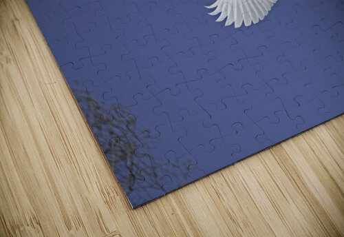 Egret Soaring Daniel Wright puzzle