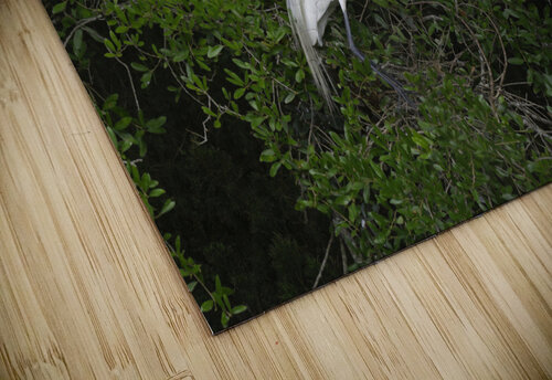 Great Egret Nesting Daniel Wright puzzle