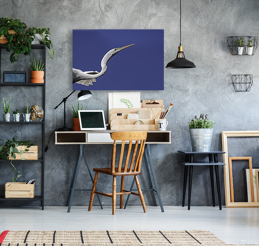 Egret Profile Reproduction