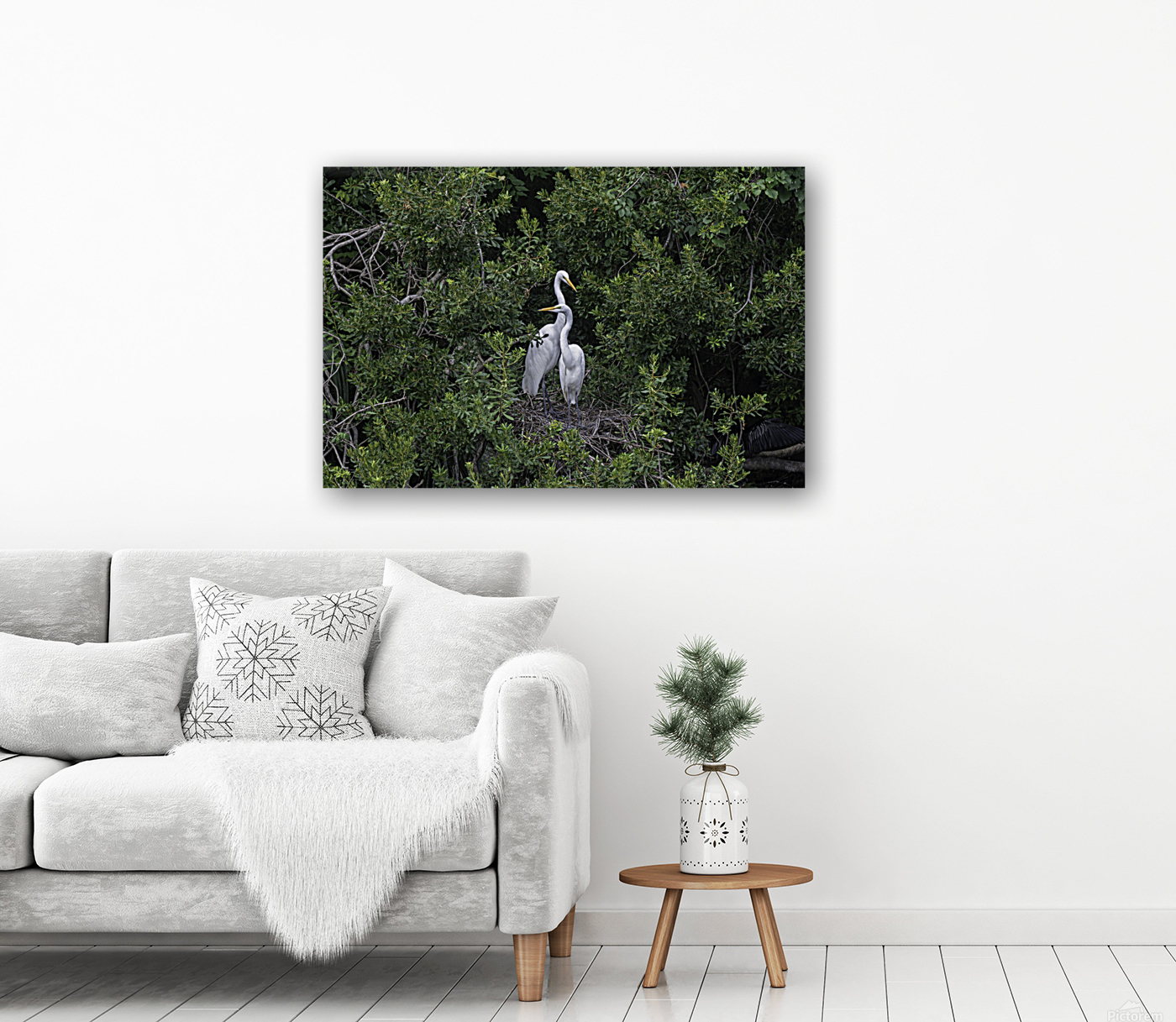 Great Egret Pair Reproduction