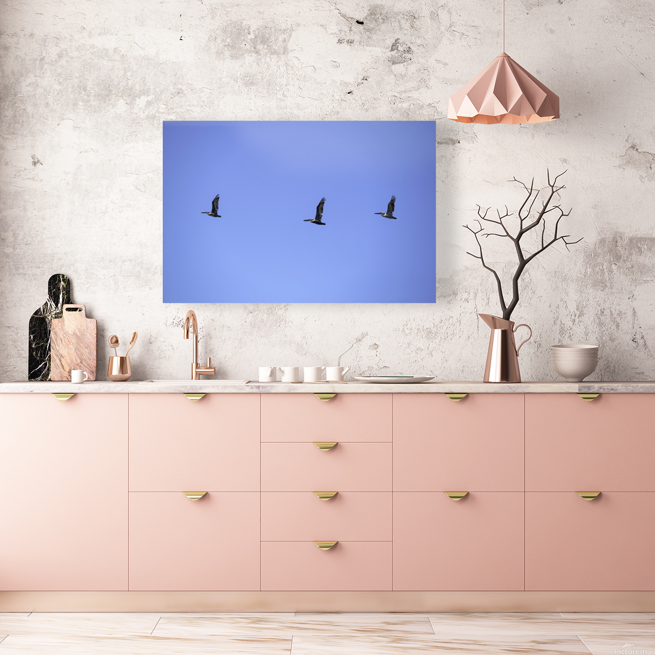 Three Brown Pelicans Reproduction