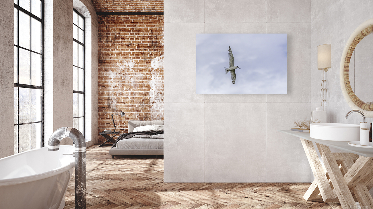 Tern Wingspan Reproduction