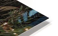 Flight Reflection HD Metal print