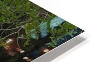 Great Egret Nesting HD Metal print