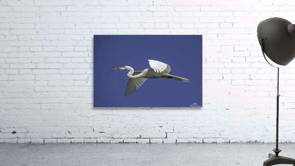 Egret Flight Wall Preview