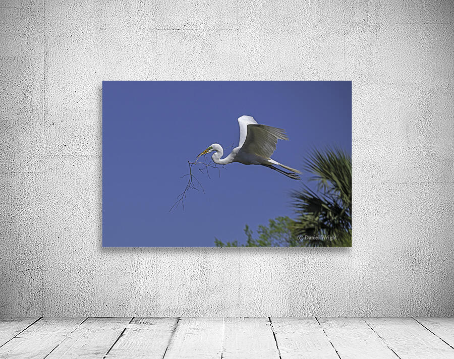 Egret Nesting Material Wall Preview
