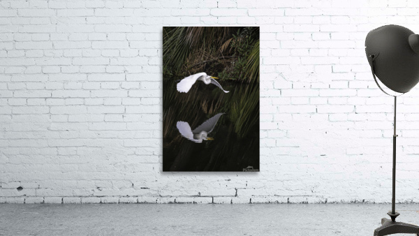 Flight Reflection Wall Preview