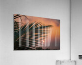 DSC00014 Acrylic Print