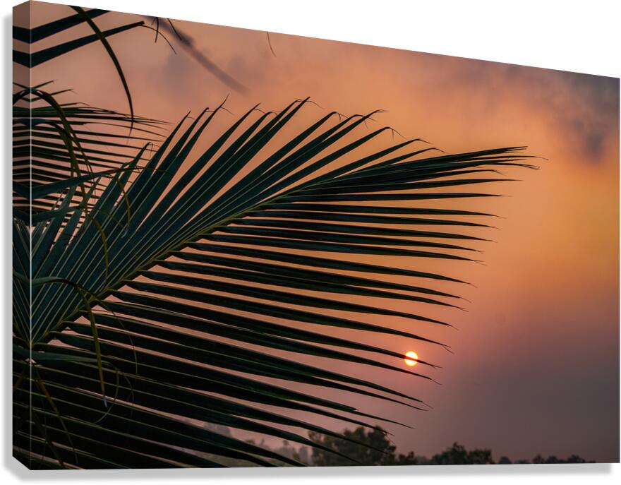 DSC00014 Canvas Print