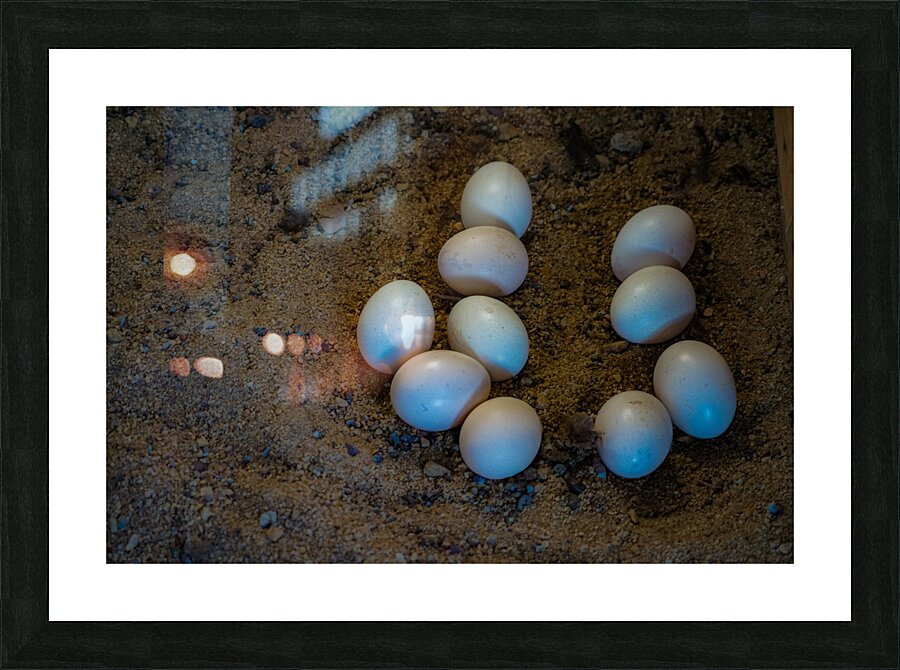 egg pattern Picture Frame print