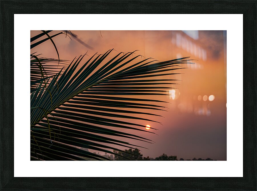 DSC00014 Picture Frame print