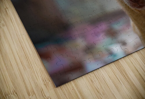 white dog face AARABHI RAUDHRAN puzzle