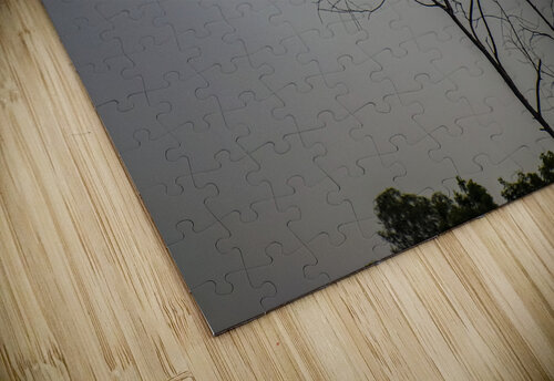 lonely bird AARABHI RAUDHRAN puzzle