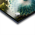 Peacock Splendor: A Burst of Vibrant Colors Acrylic print