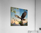 Eagles Flight: A Predator in the Sky Acrylic Print