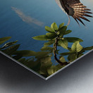 Eagles Flight: A Predator in the Sky Metal print