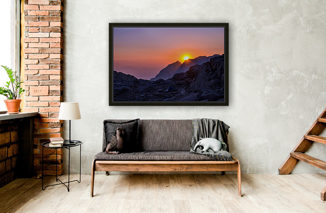 sunrise Reproduction