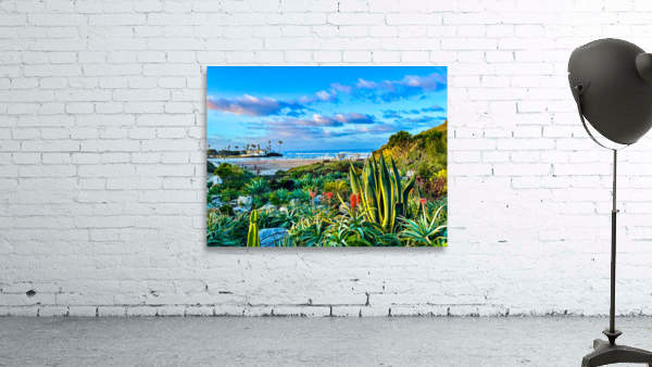 Del Mar Wall Preview