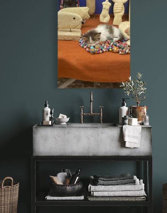 ASF054 by L art de l image et de l expression