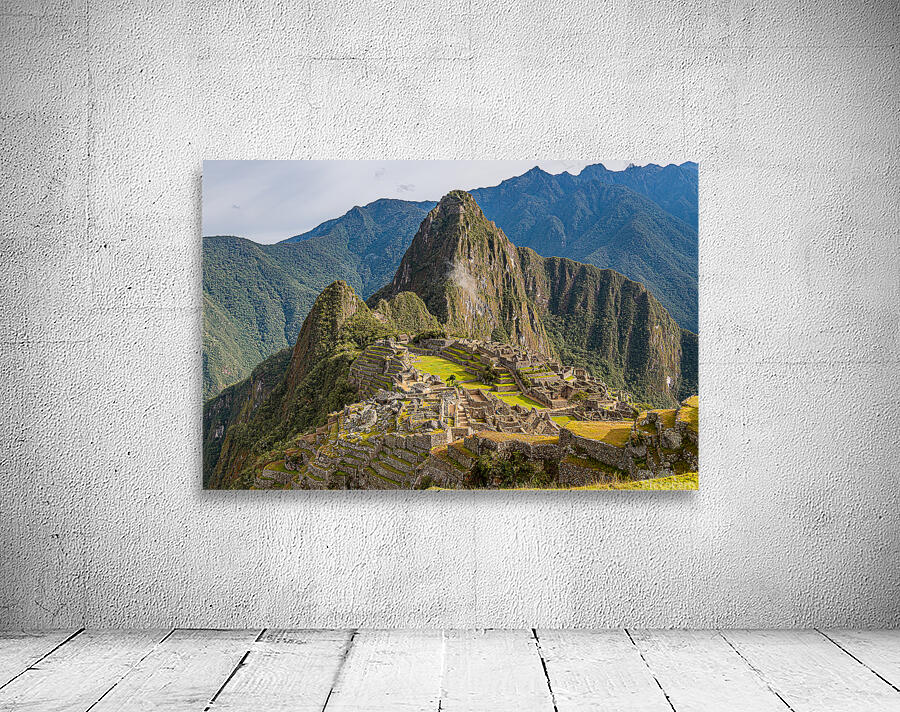 DSC 5025 Wall Preview