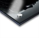 Scorpion Acrylic print