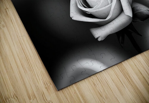 Black and white Roses Urban Interior Art puzzle
