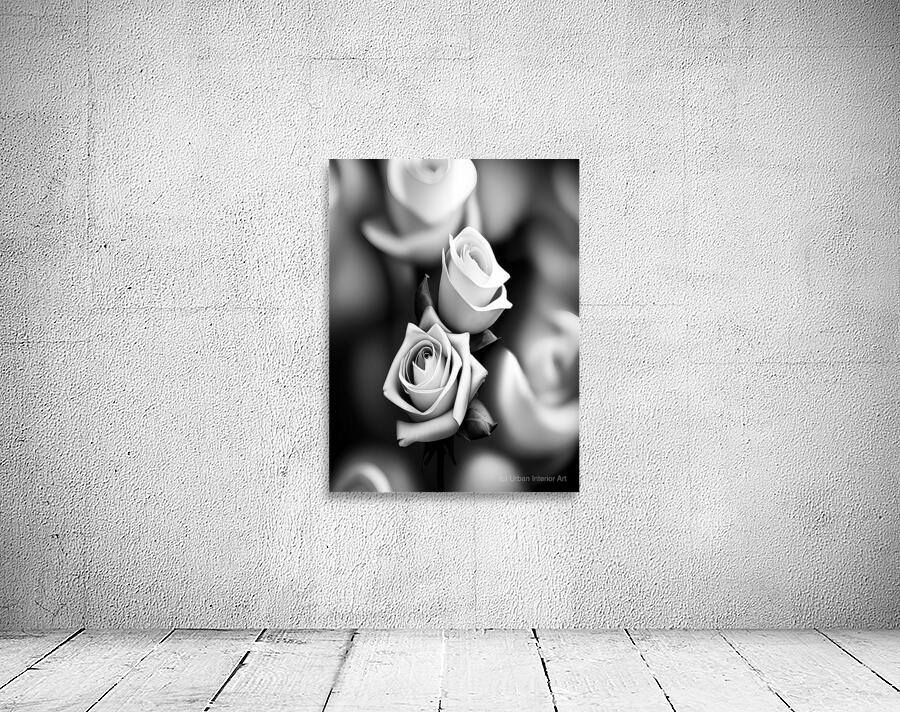 Black and white Roses Wall Preview