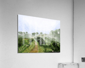 Angel Island 天使島 Acrylic Print