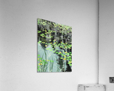 台湾大屯火山生態池-Taiwan Datun volcano ecological pool Acrylic Print