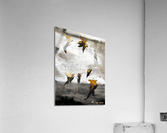秋-Autumn Acrylic Print