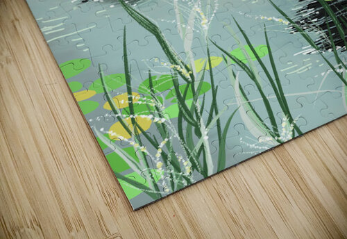台湾大屯火山生態池-Taiwan Datun volcano ecological pool MV IPad drawings  puzzle