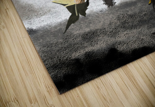 秋-Autumn MV IPad drawings  puzzle