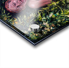 Tipping Point Acrylic print