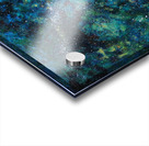 Caribou Universe Acrylic print