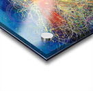 Chaotica Acrylic print