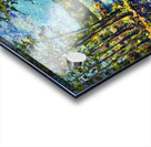 Near Hard Labor Creek Acrylic print