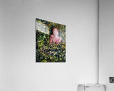 Tipping Point Acrylic Print