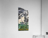 Strange World Acrylic Print