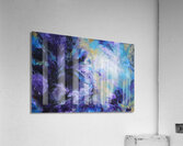Albedo Effect Acrylic Print