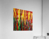 Strange Trees Acrylic Print