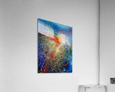 Chaotica Acrylic Print