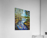 Near Hard Labor Creek Acrylic Print