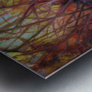 Shimmering Forest Metal print