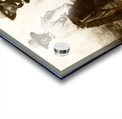 Vintage Ktunaxa Cowbows Acrylic print