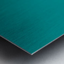 Hunter Moon at Calgary Olympic Ski Jump Metal print