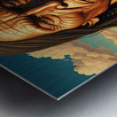 naǂmuq¢in becomes the Rocky Mountains Metal print