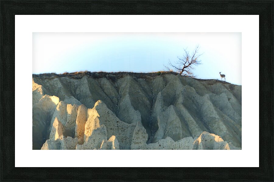 Deer on Hoodoos at Aqam Picture Frame print