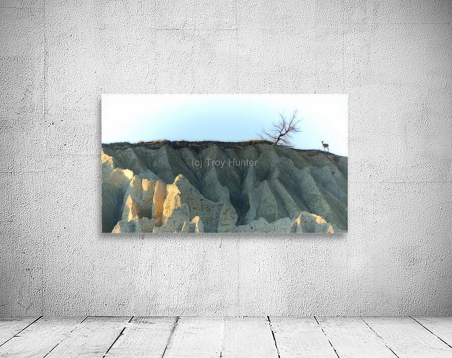 Deer on Hoodoos at Aqam Wall Preview